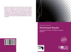 Pemmasani Nayaks kitap kapağı