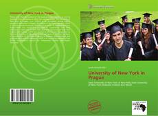 Bookcover of University of New York in Prague