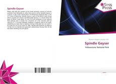 Spindle Geyser kitap kapağı