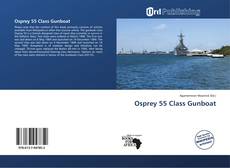 Capa do livro de Osprey 55 Class Gunboat 