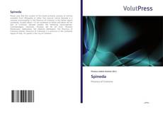 Bookcover of Spineda