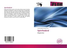 Bookcover of Spinifexbird