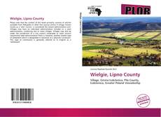 Wielgie, Lipno County的封面
