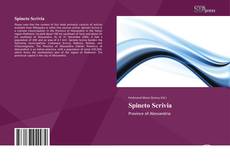 Spineto Scrivia kitap kapağı
