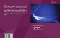 Bookcover of Spiniger
