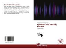 Bookcover of Spindlersfeld Railway Station