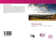Bookcover of Wierzchucinek