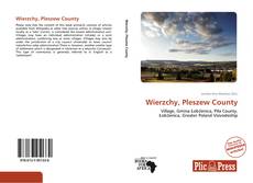 Capa do livro de Wierzchy, Pleszew County 