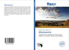 Bookcover of Wierzenica