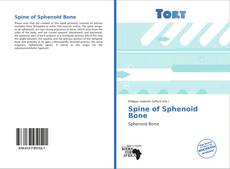 Bookcover of Spine of Sphenoid Bone