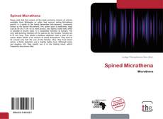Spined Micrathena kitap kapağı