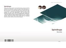 Bookcover of Spinidrupa