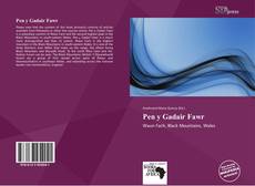 Bookcover of Pen y Gadair Fawr