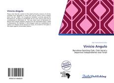 Bookcover of Vinicio Angulo