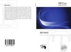 Capa do livro de Spinkai 