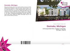 Portada del libro de Ossineke, Michigan