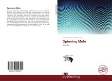 Copertina di Spinning Mule