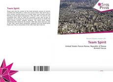 Team Spirit kitap kapağı