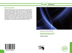 Spinoaequalis kitap kapağı