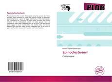 Spinoclosterium的封面