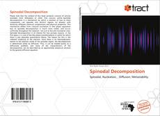 Copertina di Spinodal Decomposition