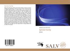 Capa do livro de Spinola Family 