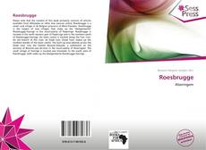 Capa do livro de Roesbrugge 