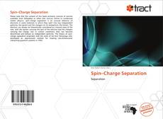 Portada del libro de Spin–Charge Separation