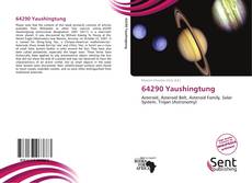 Bookcover of 64290 Yaushingtung