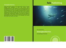 Bookcover of Osteoglossiformes