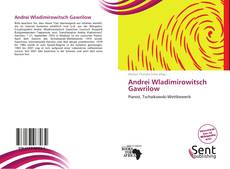 Andrei Wladimirowitsch Gawrilow kitap kapağı