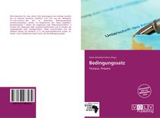 Bookcover of Bedingungssatz