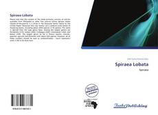 Bookcover of Spiraea Lobata