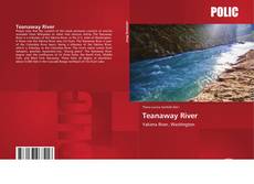Capa do livro de Teanaway River 