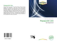 Rogaguado Lake kitap kapağı