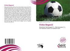 Capa do livro de Vinko Begović 