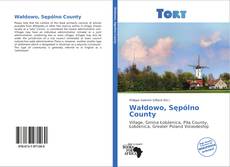 Buchcover von Wałdowo, Sępólno County