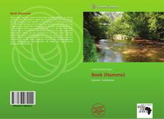 Buchcover von Beek (Hamme)