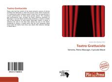 Teatro Grattacielo的封面