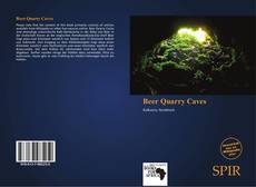 Bookcover of Beer Quarry Caves