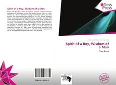 Buchcover von Spirit of a Boy, Wisdom of a Man