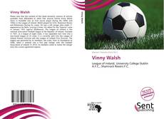 Vinny Walsh kitap kapağı