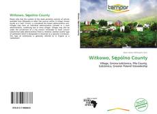 Witkowo, Sępólno County kitap kapağı