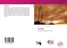 Bookcover of TecSAR