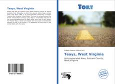 Capa do livro de Teays, West Virginia 