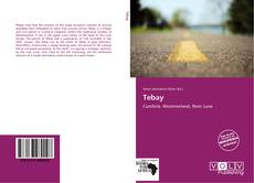 Portada del libro de Tebay