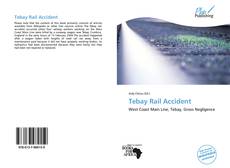 Capa do livro de Tebay Rail Accident 