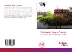 Ostrówek, Słupca County kitap kapağı