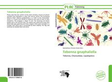 Capa do livro de Tebenna gnaphaliella 