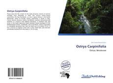 Ostrya Carpinifolia kitap kapağı